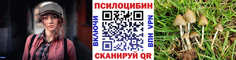 Галлюциногенные грибы GOLDEN TEACHER  darknet клад  Губкинский 