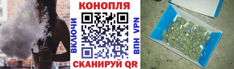 Конопля AK-47  Губкинский 